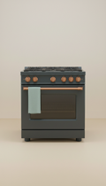 Slide-In Electric Range Precision Service
